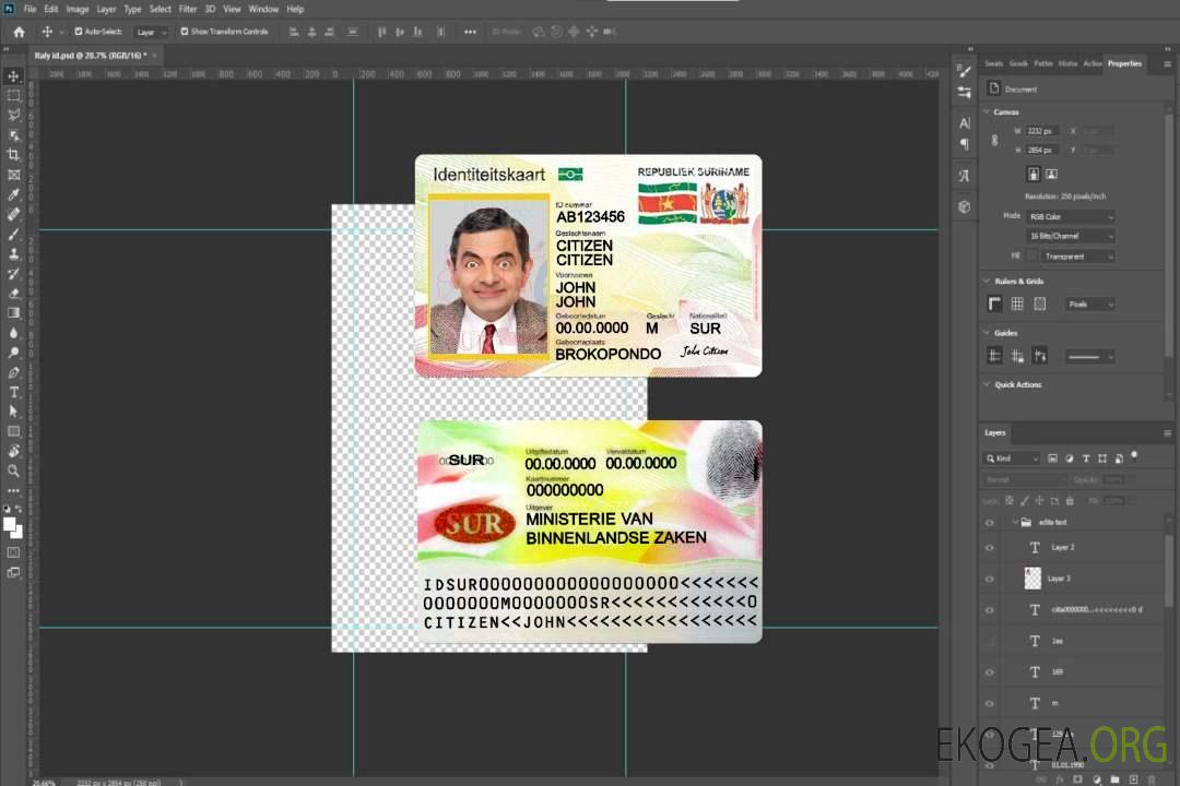 Carte d'identité du Suriname template Carte d'identité du Suriname template